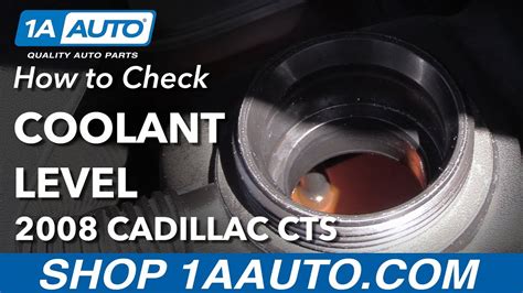 cadillac cts coolant|What Type of Antifreeze and Coolant for Cadillac CTS. How Much